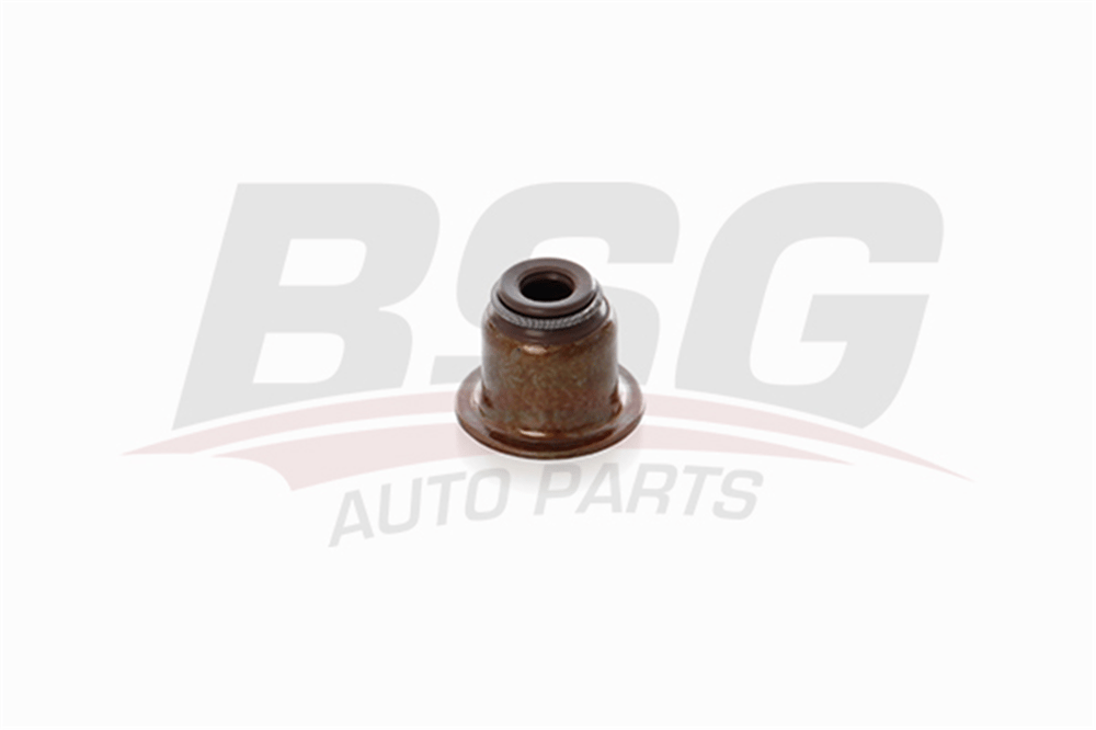 BSG 30-116-112 - Supap Lastigi - Ford Cmax-focus