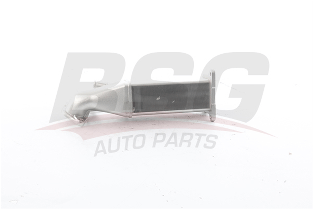 BSG 30-725-115 - Egr Sogutucu - Ford Transit V348/land Rover
