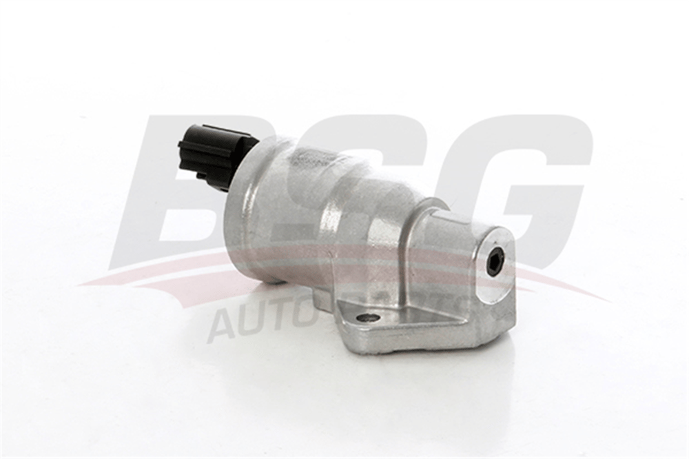 BSG 30-836-008 - Rolanti Ayar Valfi - Ford Fiesta/focus