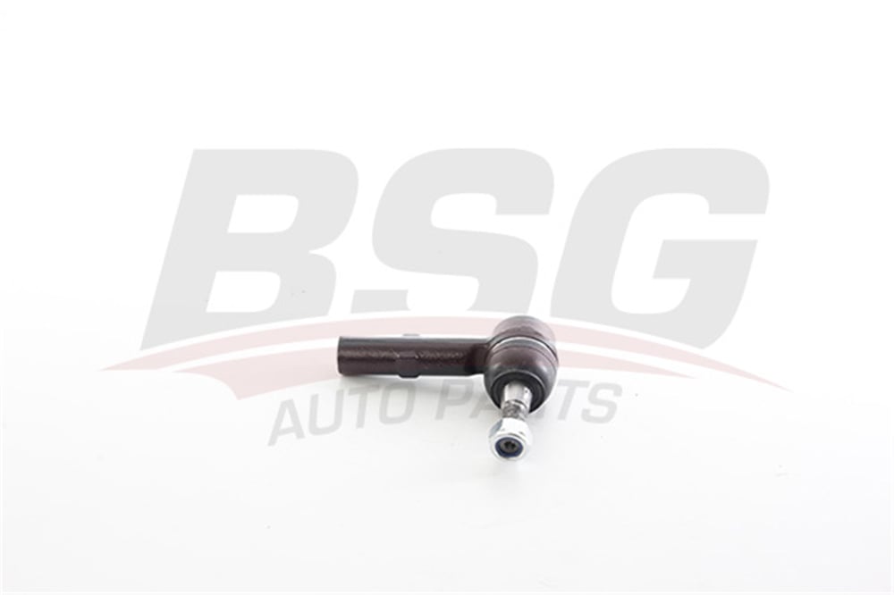 BSG 42-310-004 - Rot Basi - Fiat Daily Vi