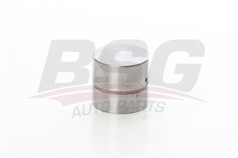 BSG 60-122-001 - Supap Iticisi - Mercedes 601-602-603-661-662