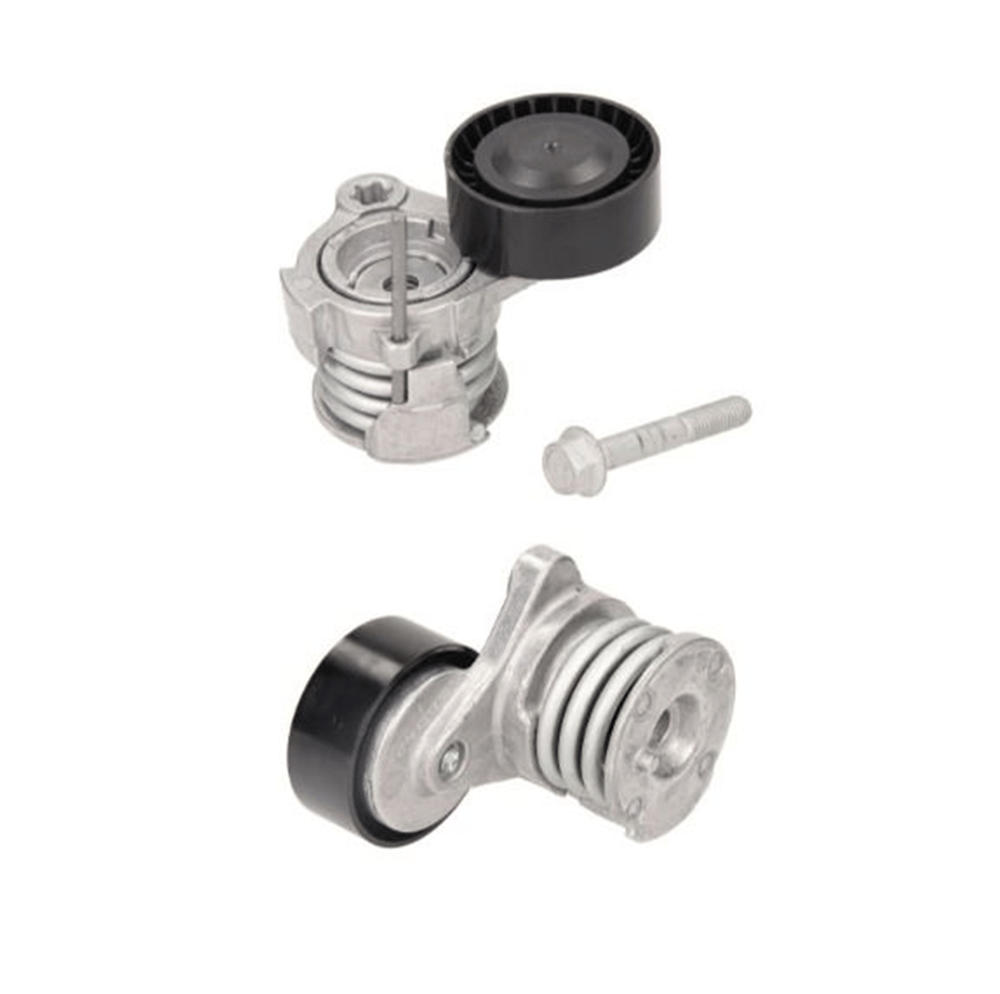 BSG 65-615-048 - V Kayis Gergisi Komple - Opel Captiva/cruze/epica/lacetti/antara