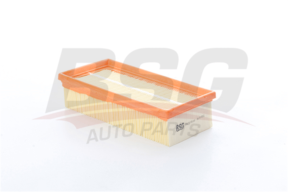 BSG 70-135-026 - Hava Filtresi - Psa 208/2008/301/c3/corsa F