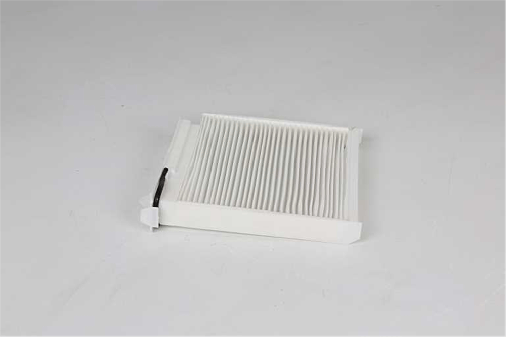 BSG 75-145-005 - Polen Filtresi - Renault Clio Iii/duster/modus/micra