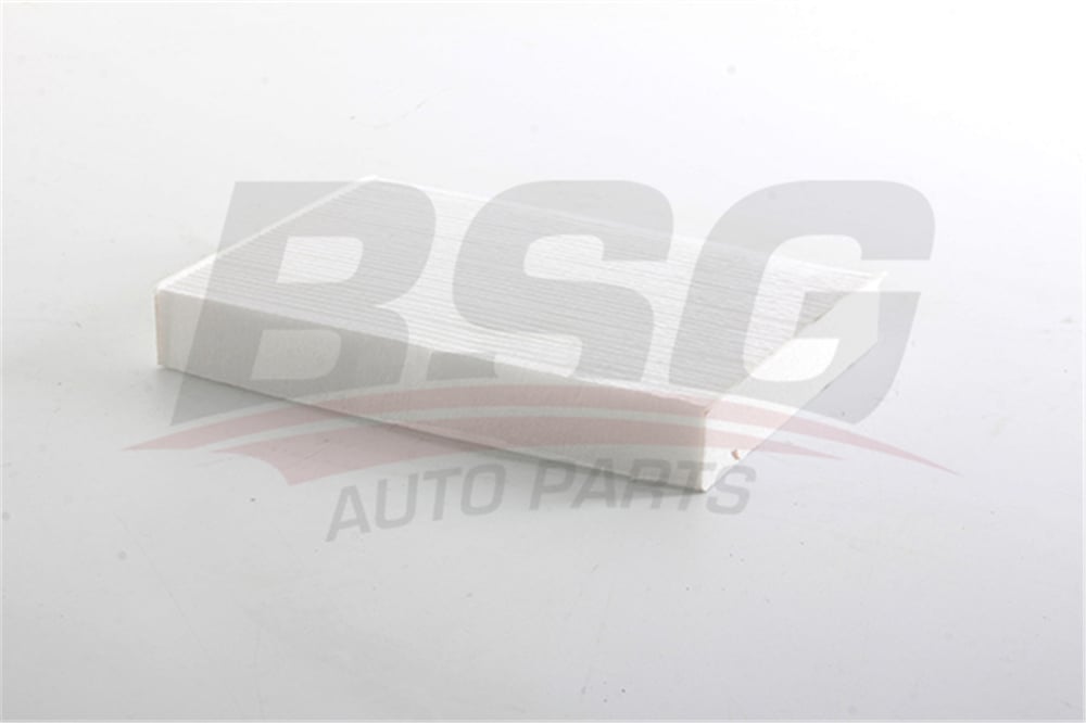 BSG 75-145-016 - Polen Filtresi - Renault Lodgy/dokker/zoe/x-traly