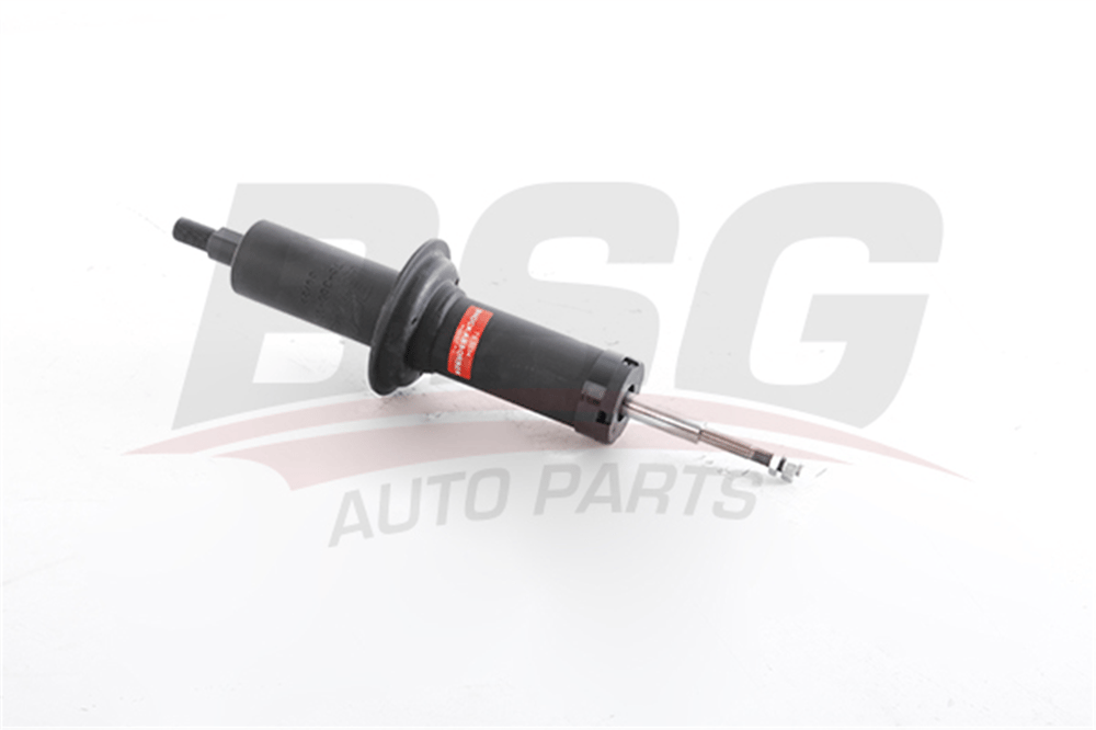 BSG 75-300-036 - Amortisör Ön - Renault R12 Ts