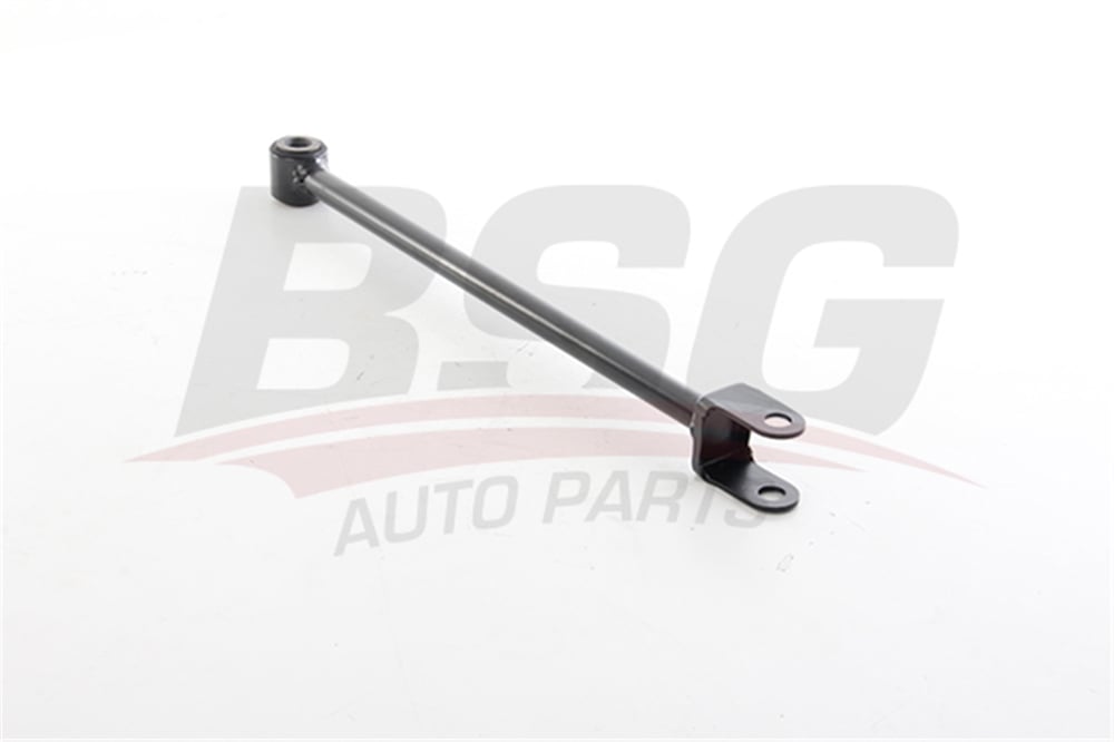 BSG 75-310-106 - Denge Kolu Arka Alt - Renault Duster