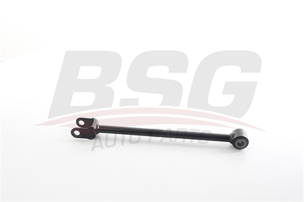 BSG 75-310-107 - Denge Kolu Arka Orta - Renault Duster