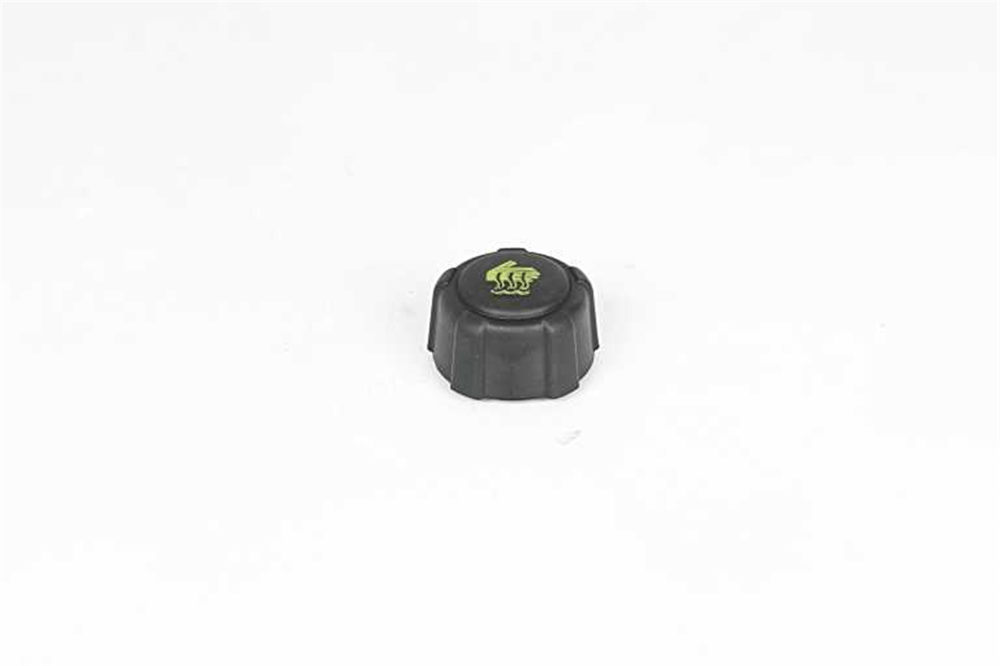 BSG 75-551-001 - Radyatör Yedek Su Depo Kapagi - Renault Megane Ii Iii/fluence/master Ii/clio Iii / Iv/trafic/latitude/symbol/dokker/lodgy
