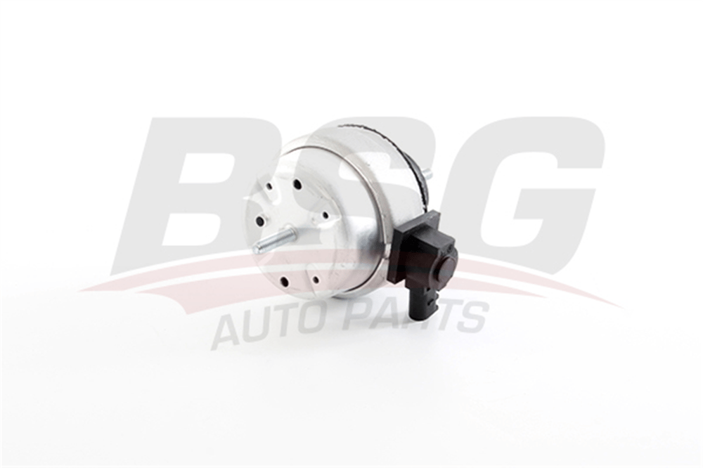 BSG 90-700-255 - Motor Takozu - Vw Passat-a4-a6