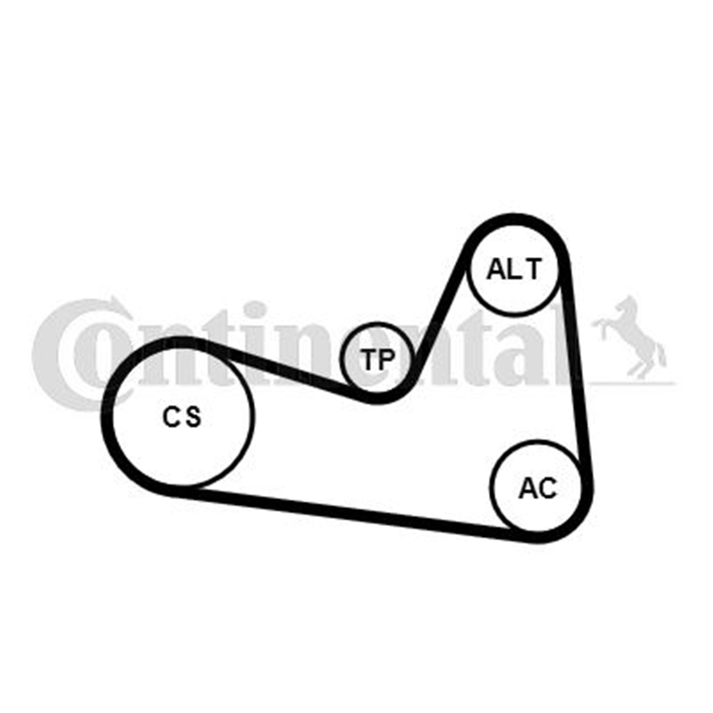 CONTITECH 1200K1 - V Kayis Seti - Renault Clio Iv/megan Iv/duster/logan/dokker/117-176-246-415 Jitan