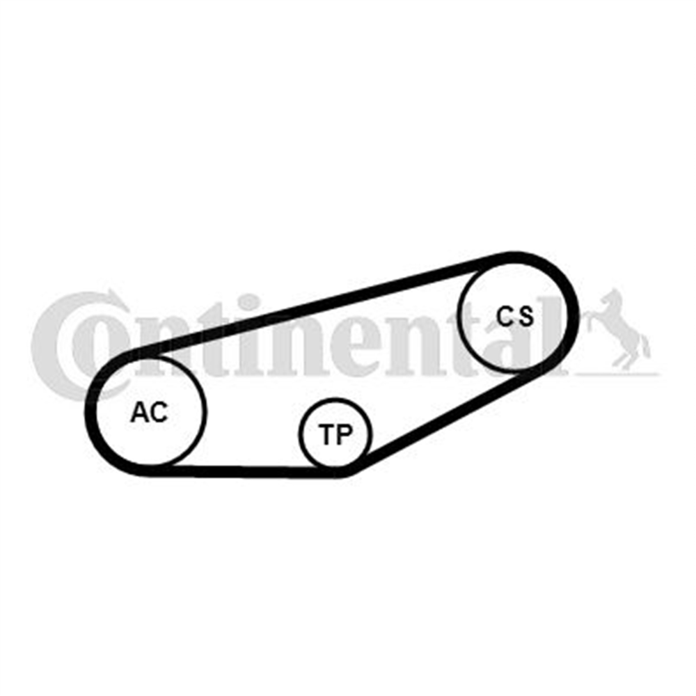 CONTITECH 855K1 - V Kayis Seti - Vw Passat-a4-a6