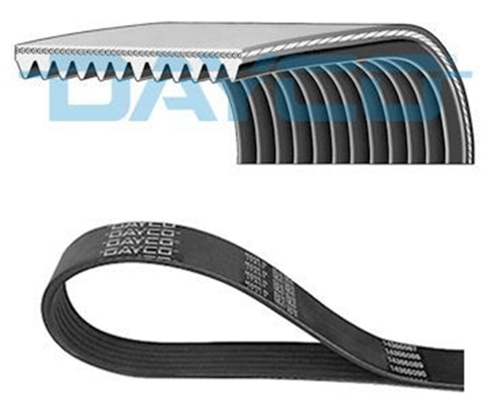 DAYCO 12PK1865HD - V Kayisi - Av Lion´s City, Nü