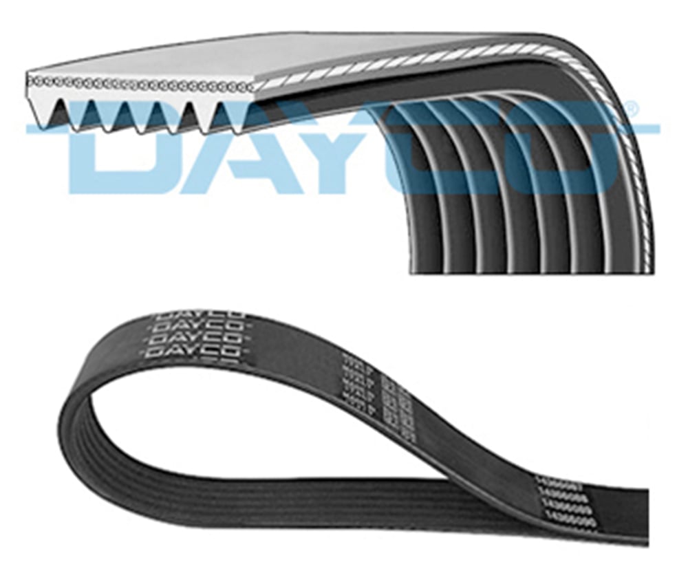 DAYCO 7PK1516S - V Kayisi - Japon Hilux (kun15, Kun25, Kun35)