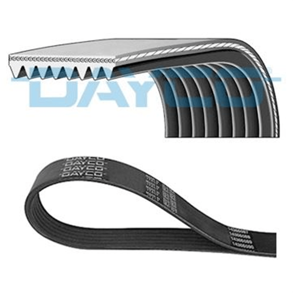 DAYCO 8PK1740 - Kanalli V Kayisi - Av Cummins, Evobus, Freightliner, Mercedes-benz, Scania