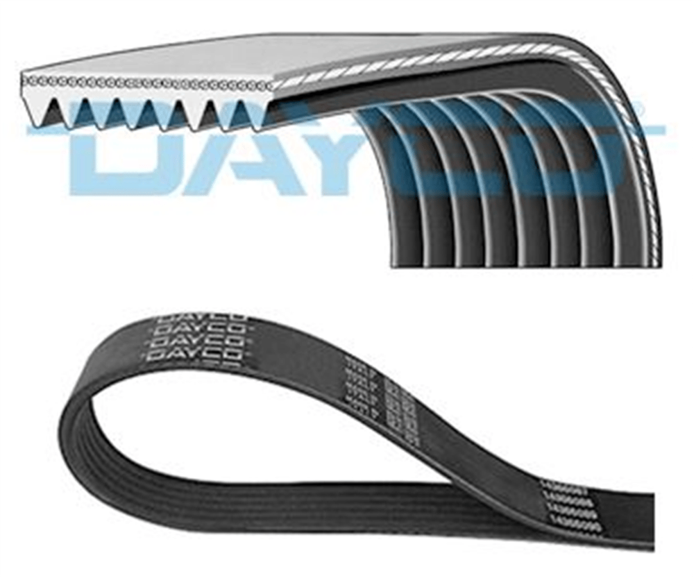 DAYCO 8PK2465 - V Kayisi - Mercedes W140