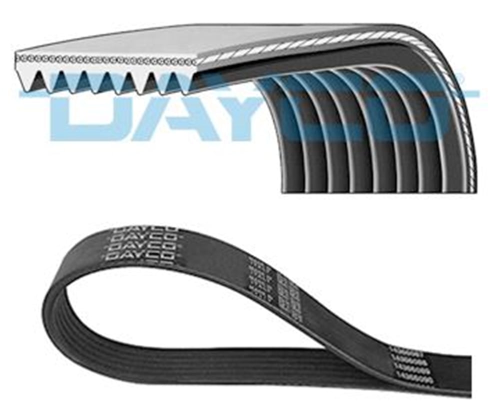 DAYCO 8PK2548HD - V Kayisi - Av Actros Mp4 / Mp5, Antos, Arocs