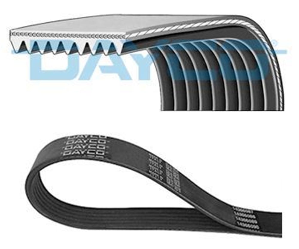 DAYCO 9PK1930HD - V Kayisi - Av Axor 2