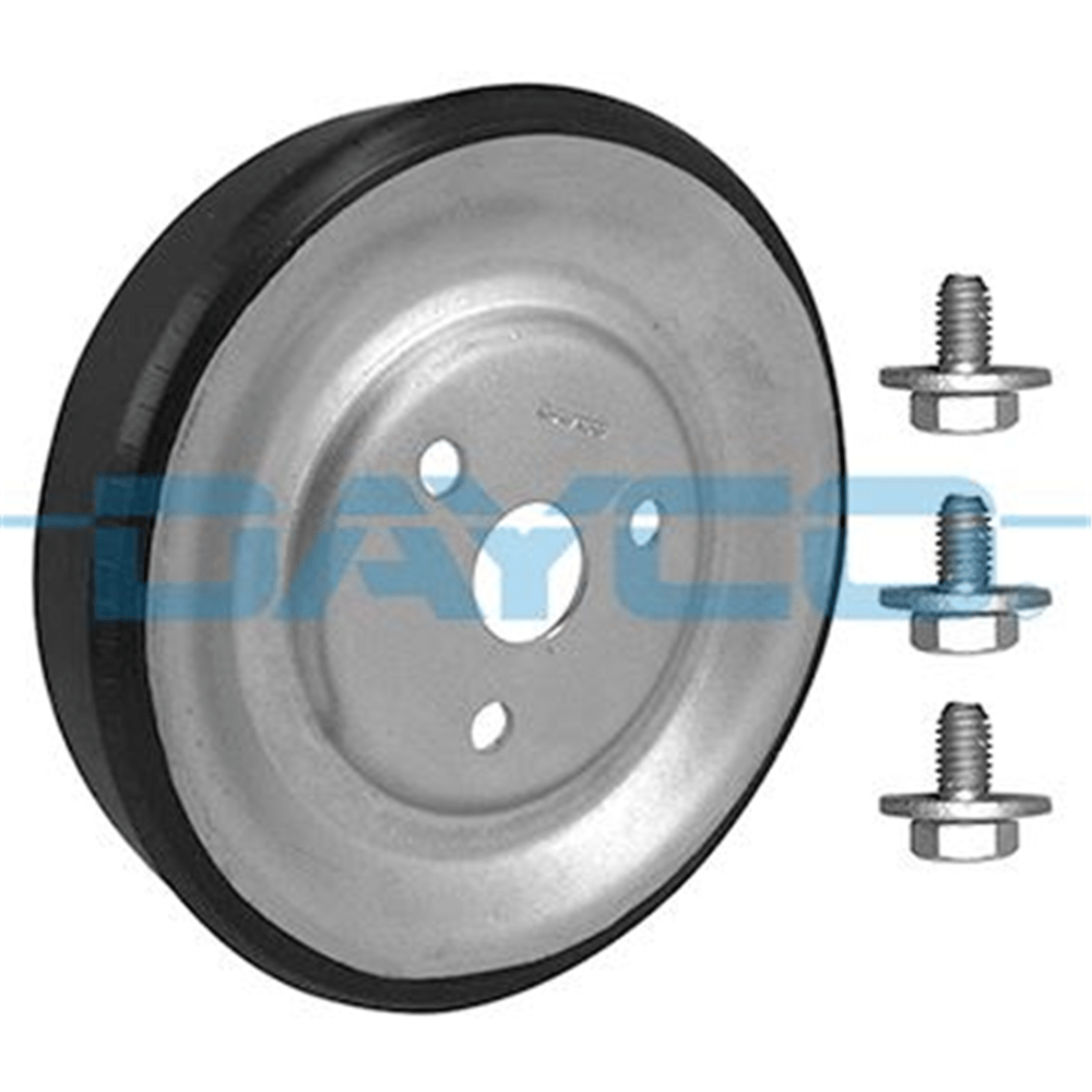DAYCO APV2978 - Devirdaim Kasnagi - Psa 208/308/c4/rcz