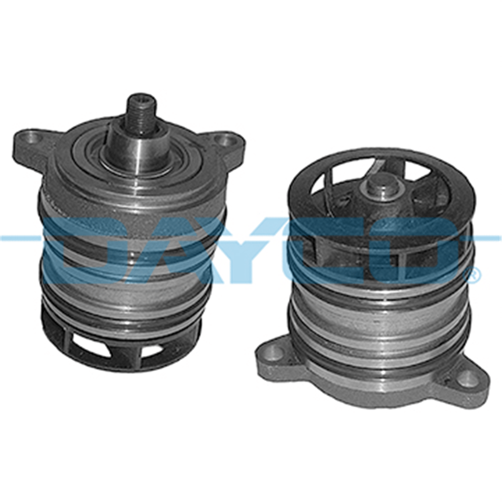 DAYCO DP336 - Devirdaim - Vw T5-touareg