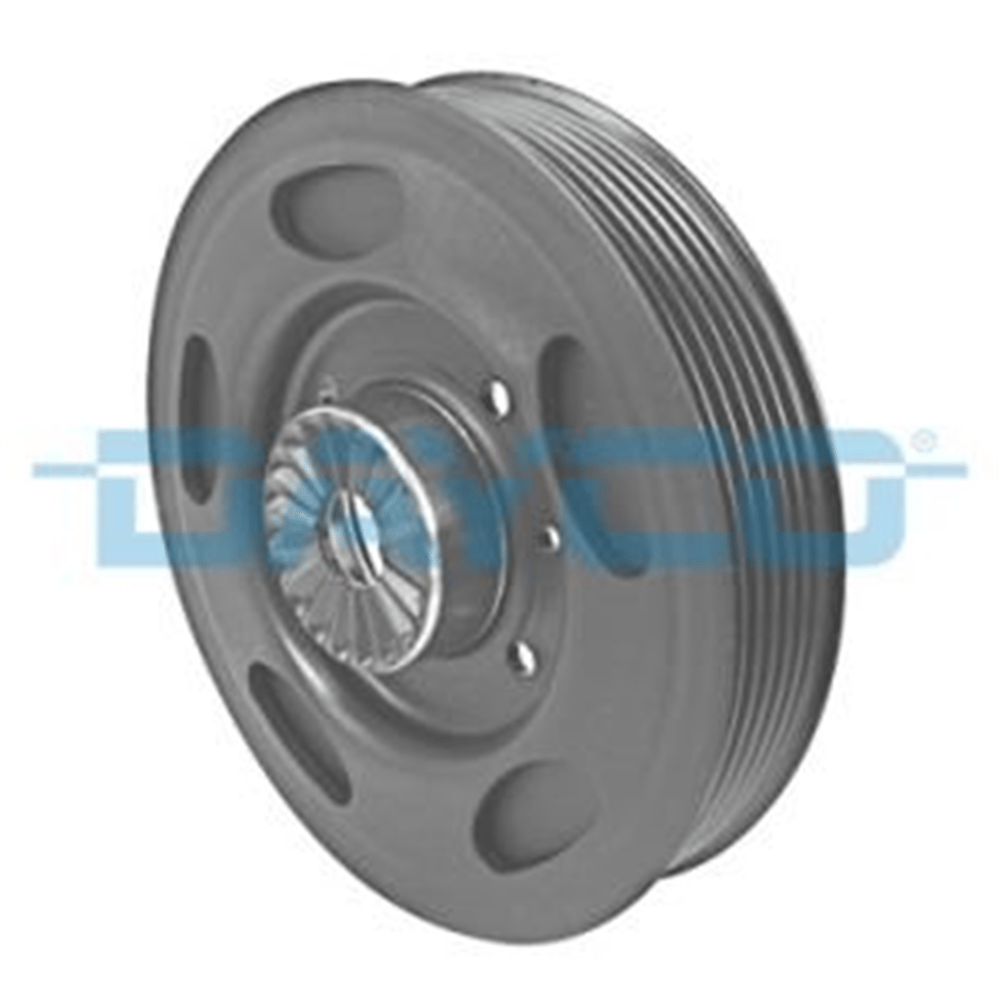 DAYCO DPV1102 - Krank Kasnagi - Vw A4-a5