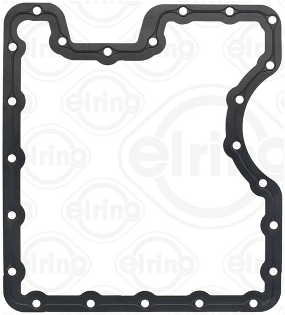ELRING 100.141 - Karter Contasi - Bmw X5 E53