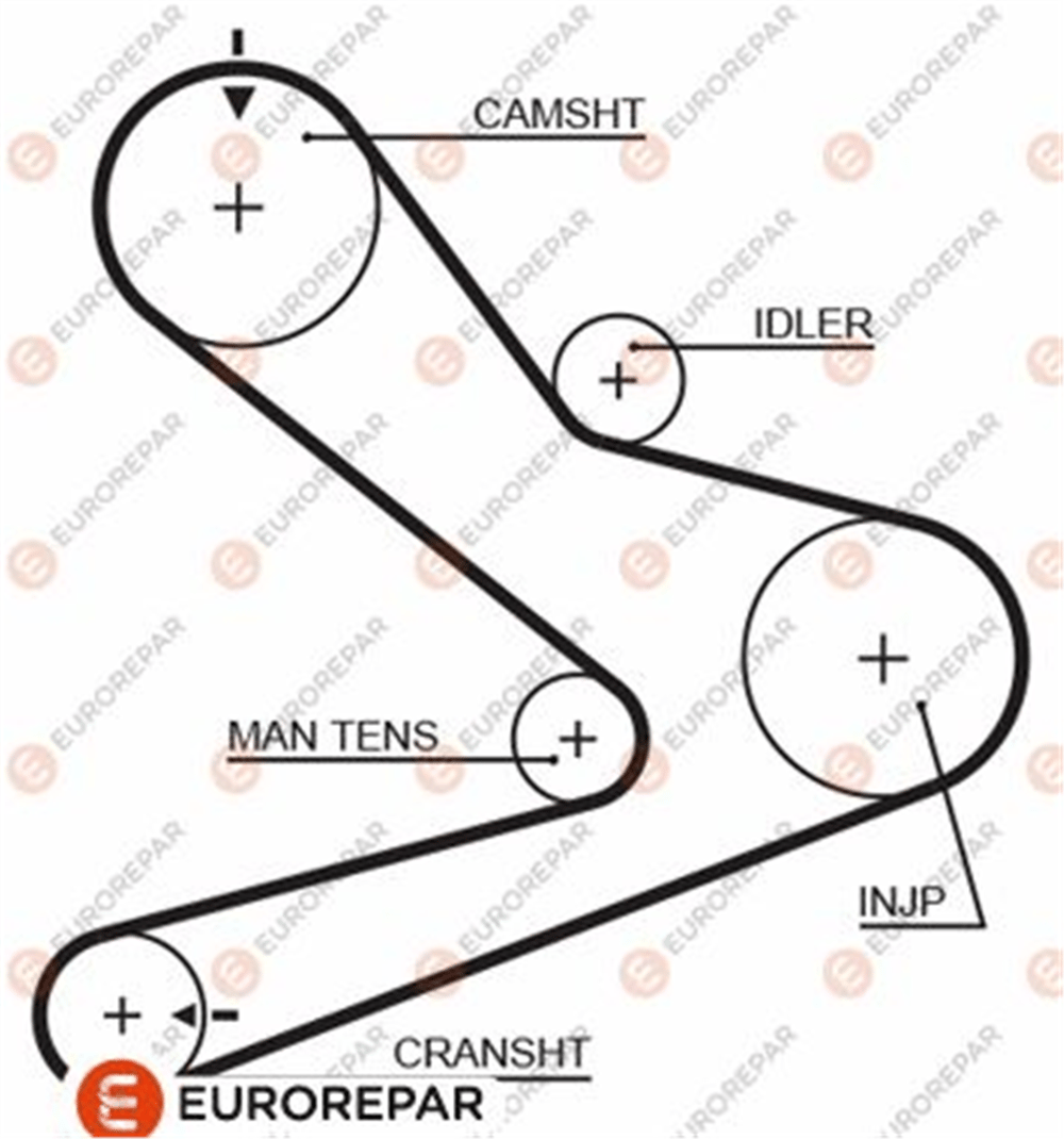 EUROREPAR 1633134880 - Ecourroiedis - Opel 