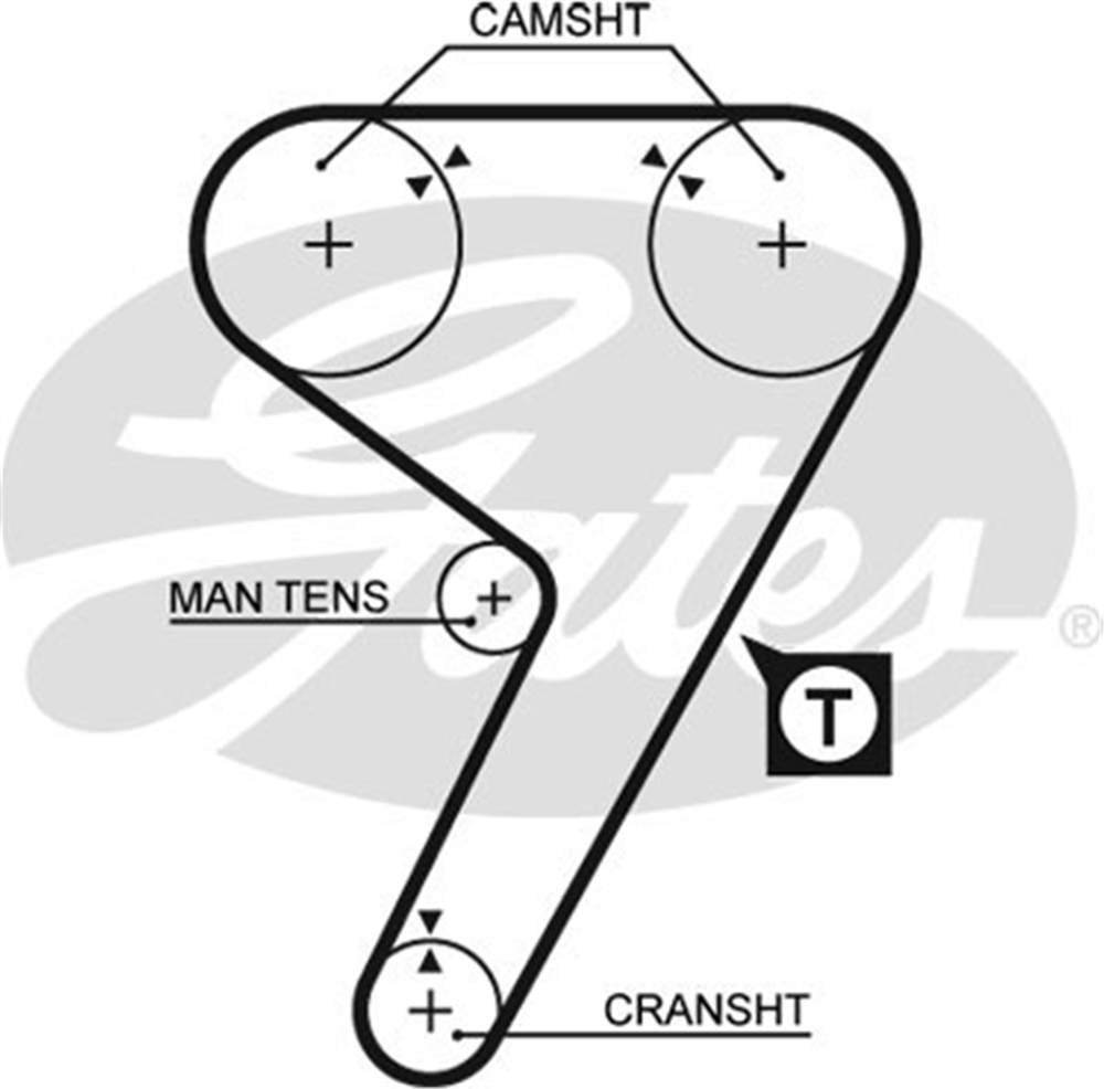 GATES 5080 - Triger Kayisi - Fiat Alfa -164