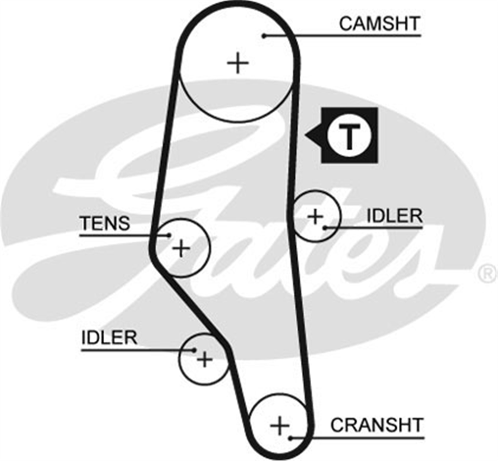 GATES 5302XS - Triger Kayisi - Bmw E36