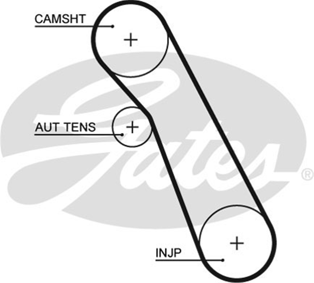 GATES 5541XS - Triger Kayisi - Ford Connect-focus