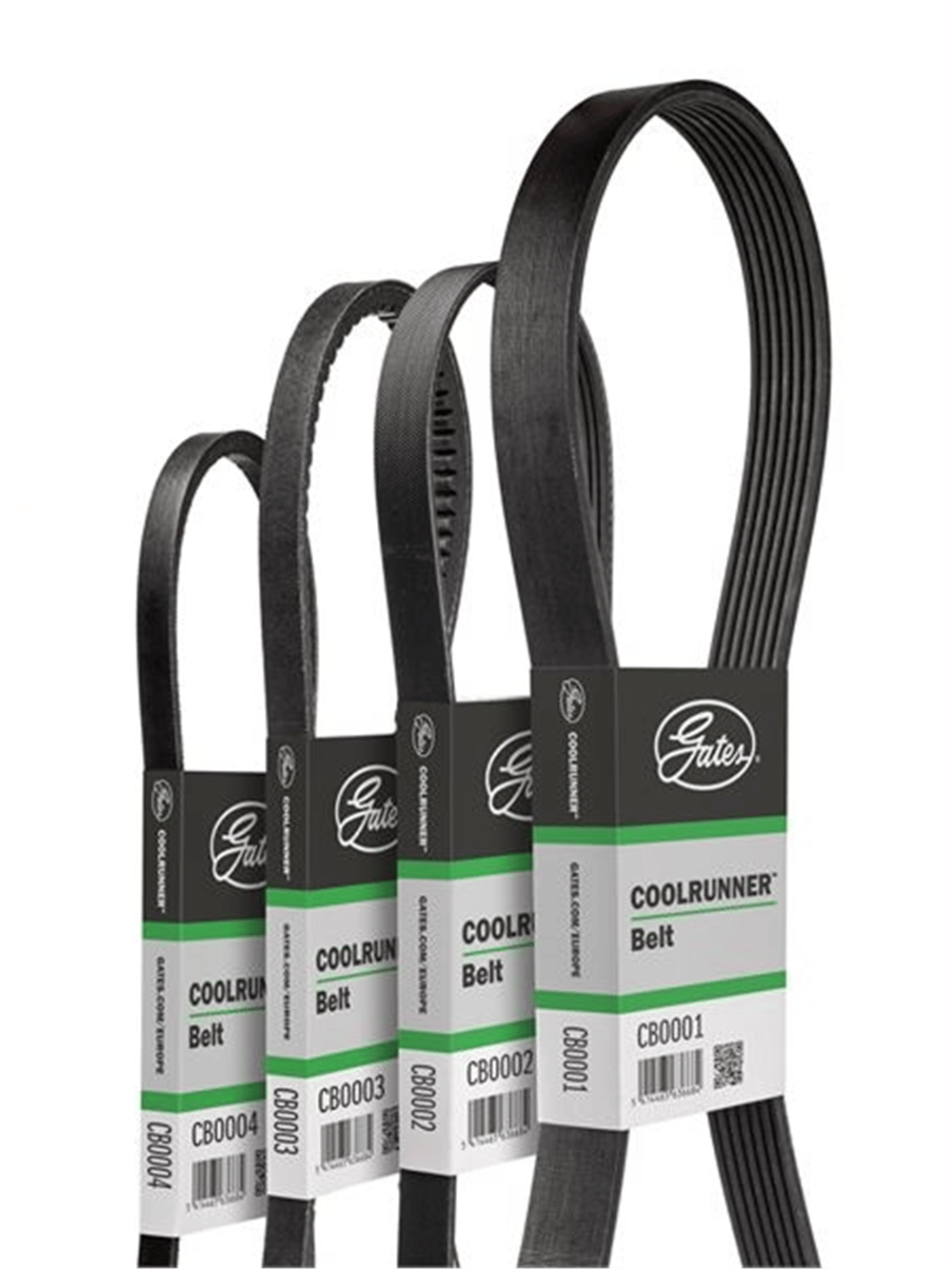 GATES CB0005 - V Kayisi - Av Thermo King