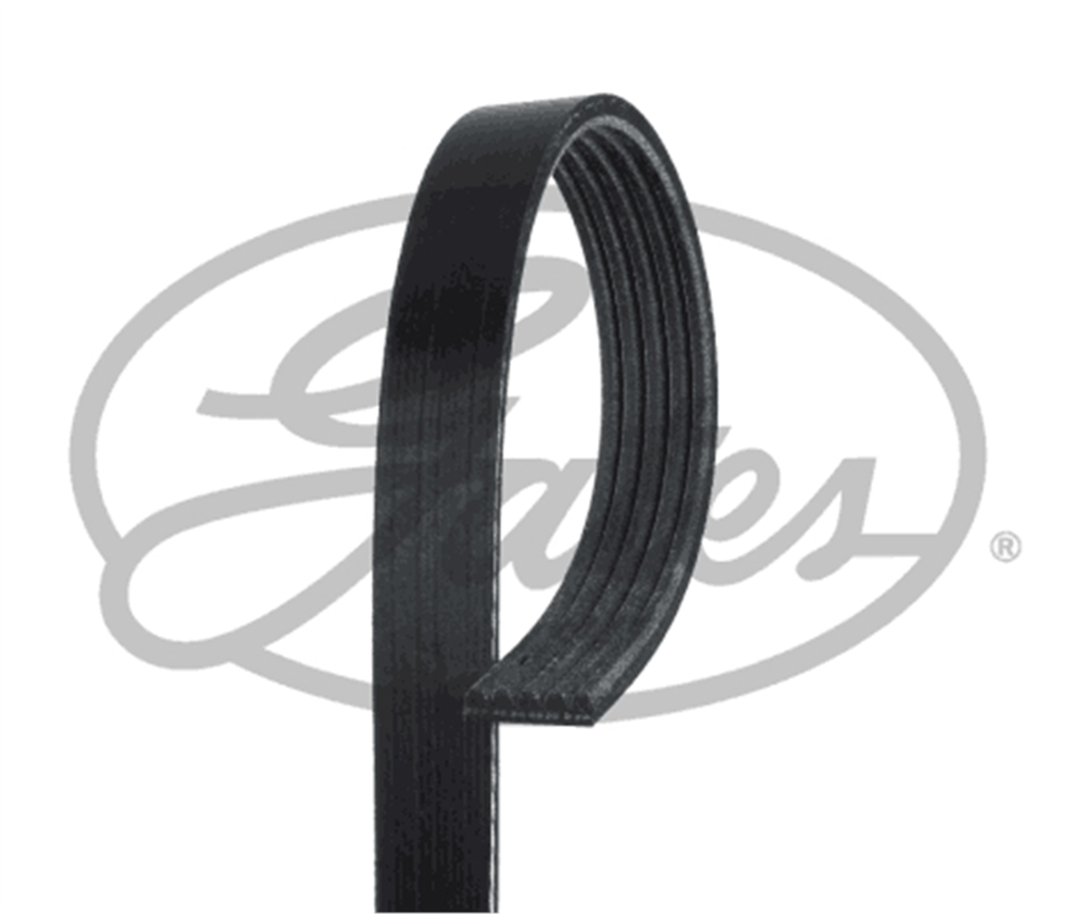 GATES RDM1243K5 - V Kayisi - Opel Vectra C