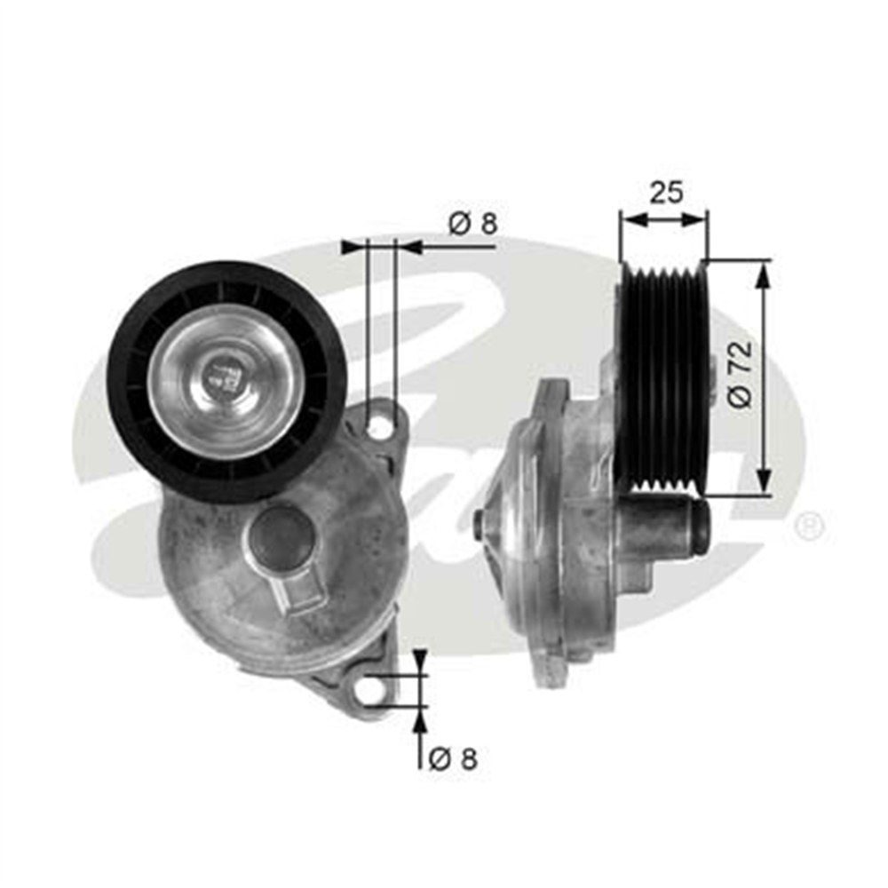 GATES T38188 - V Kayis Gergi Rulmani - Ford Focus/mondeo