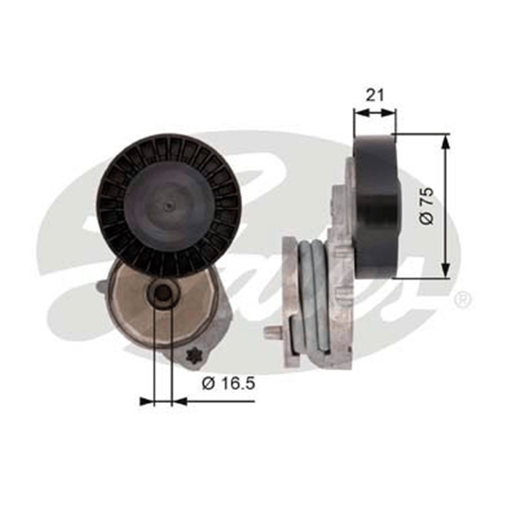 GATES T39116 - V Kayis Gergi Rulmani - Ford Mondeo/v60/v70