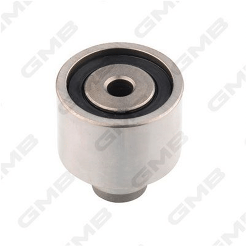 GMB GT30620 - Eksantrik Gergi Rulmani - Vw Polo-caddy-t5-passat-crafter