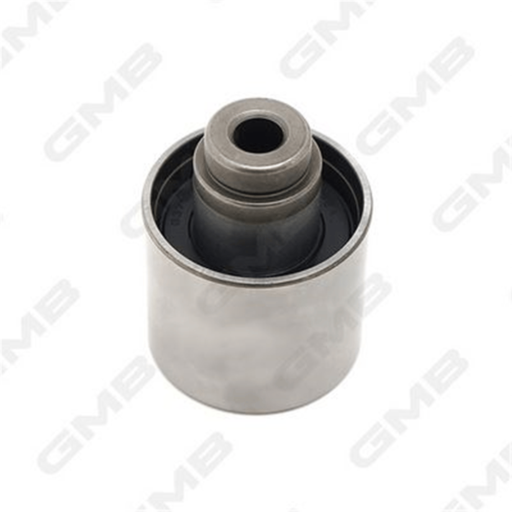 GMB GT40930 - Eksantrik Gergi Rulmani - Vw Polo-caddy-t5-golf5-passat-a3-leon