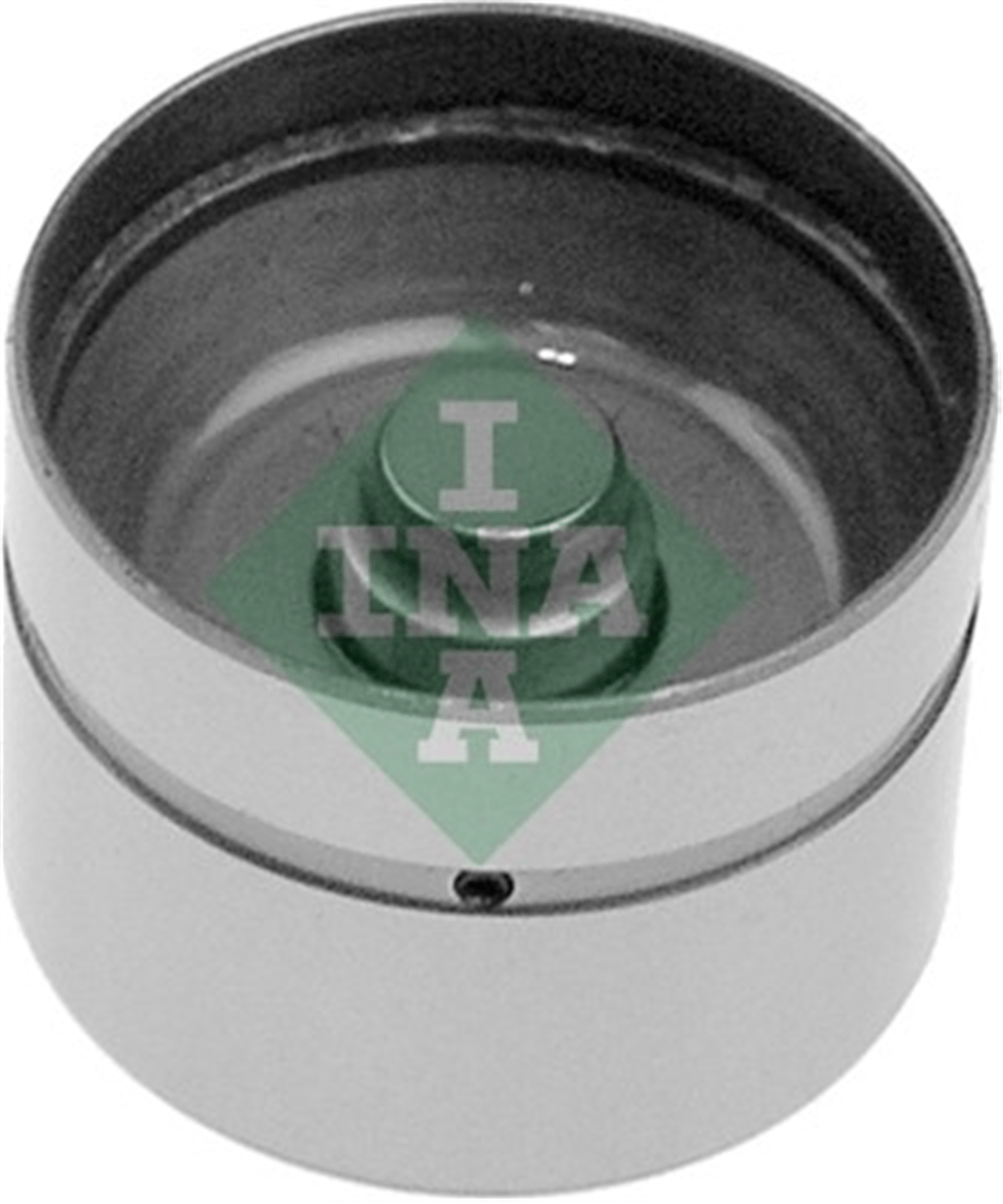 INA 10 - Supap Itici - Bmw E34-e36-e38-e39-e46-e60-e61-e65-e66-x3 E83-x5 E53-z3 E36-z4 E85