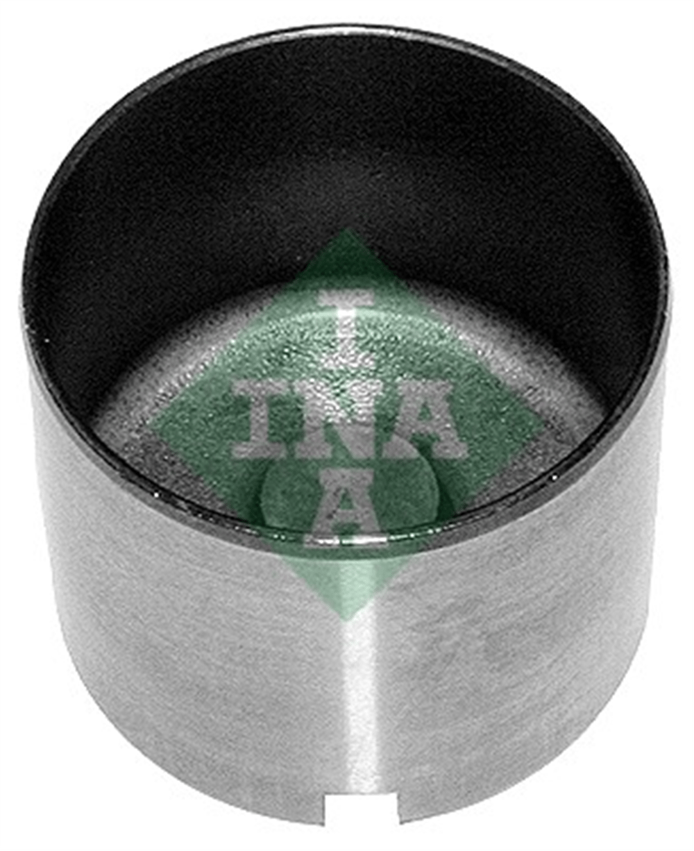 INA 10 - Supap Tusu - Opel Astra G-h Corsa C