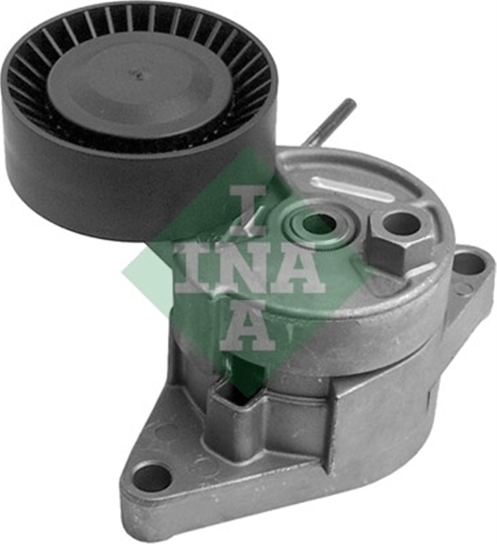 INA 10 - V Kayis Gergisi Komple - Bmw E46/38/39/x5