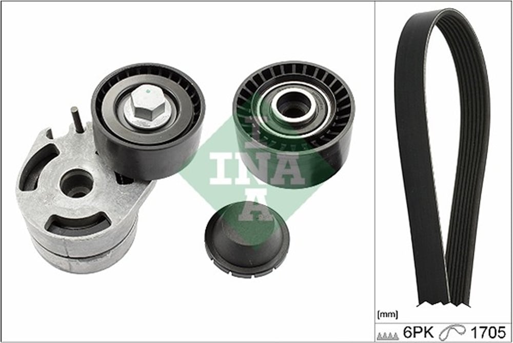 INA 10 - V Kayis Seti - Psa 206/407/partner
