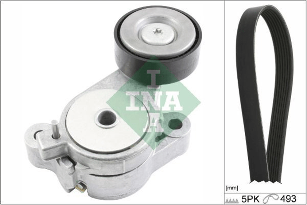 INA 10 - V Kayis Seti - Vw Golf5-jetta-passat-tiguan-polo-a3
