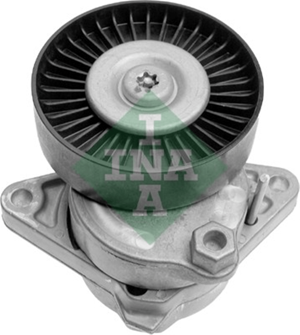 INA 20 - V Kayis Gergisi Komple - Mercedes Bm-220-163-210-219