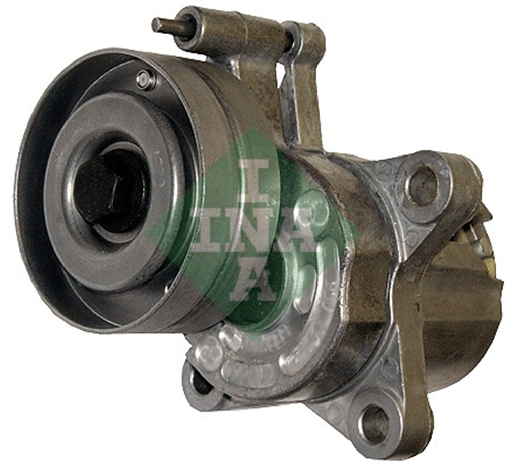 INA 30 - V Kayis Gergisi Komple - Vw Golf3
