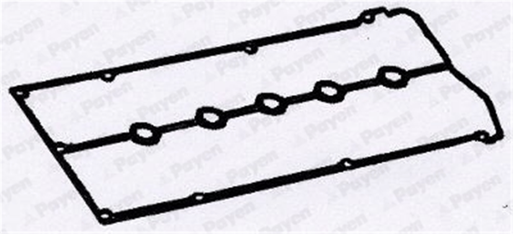 PAYEN JM5018 - Üst Kapak Contasi - Fiat Bravo/marea/stilo