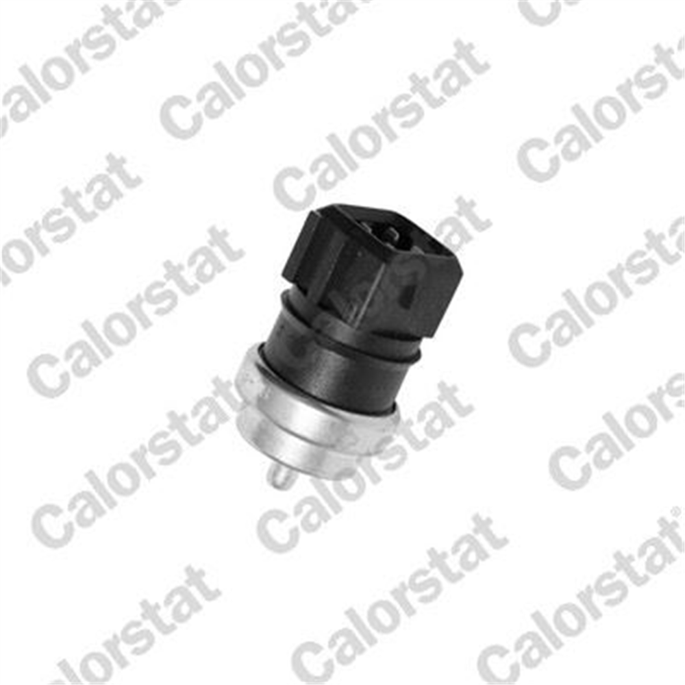 VERNET WS2694 - Su Sicaklik Müsürü - Renault Duster/logan/fluence/megan Ii/clio