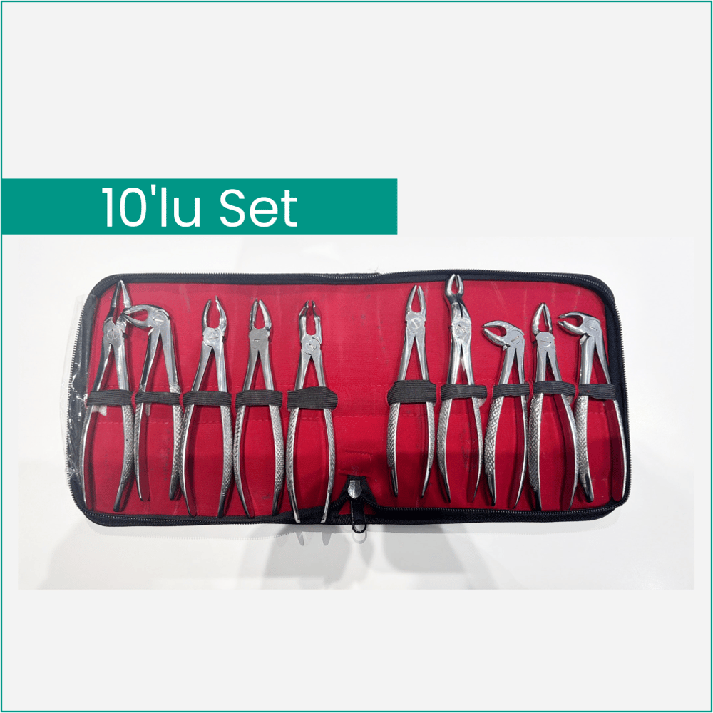 Yetişkin Davye Takımı (10'lu)