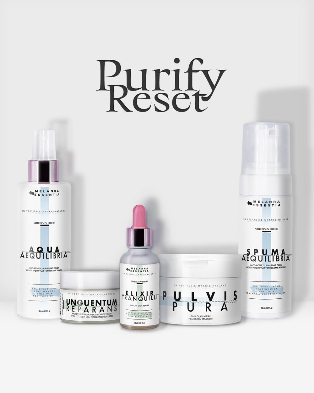 PURIFY RESET 