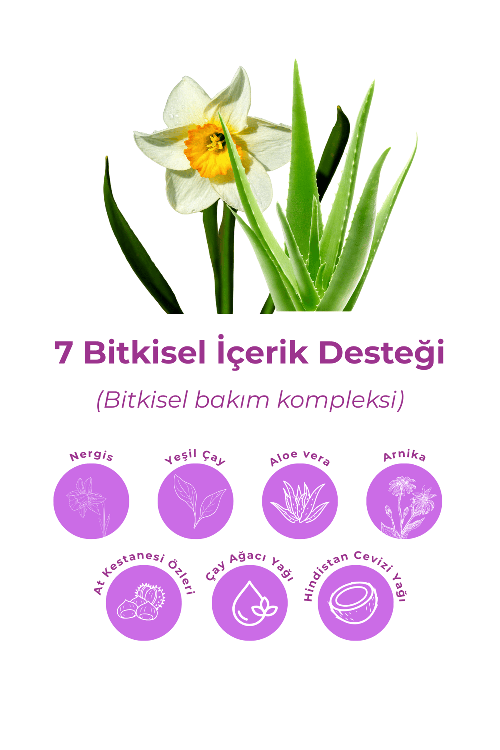 Bio Asia 7 Etkili Bitkisel Jel 250 ml – Aloe Vera & Yeşil Çay & Çay Ağacı Yağı