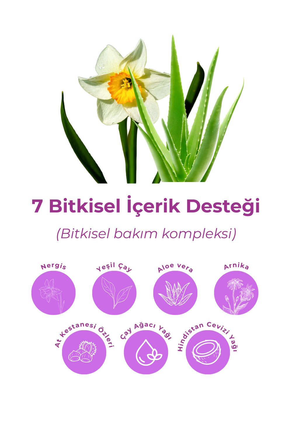 Bio Asia 7 Etkili Bitkisel Jel 120 ml – Aloe Vera & Yeşil Çay & Çay Ağacı Yağı