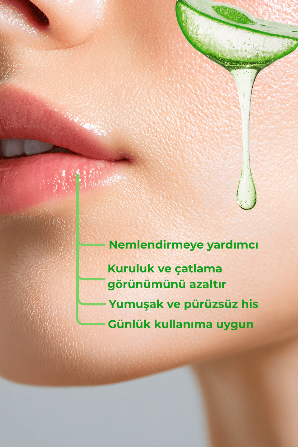 Bio Asia Aloe Vera Lip Balm – Yoğun Nemlendirici, Onarıcı Bitkisel Dudak Bakımı (Renksiz)